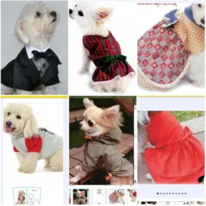 Colagem com seis cães pequenos vestindo roupas diferentes