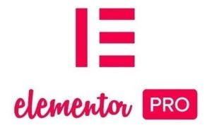 Licença Elementor Pro Vitalício 2022 Domínios Ilimitados