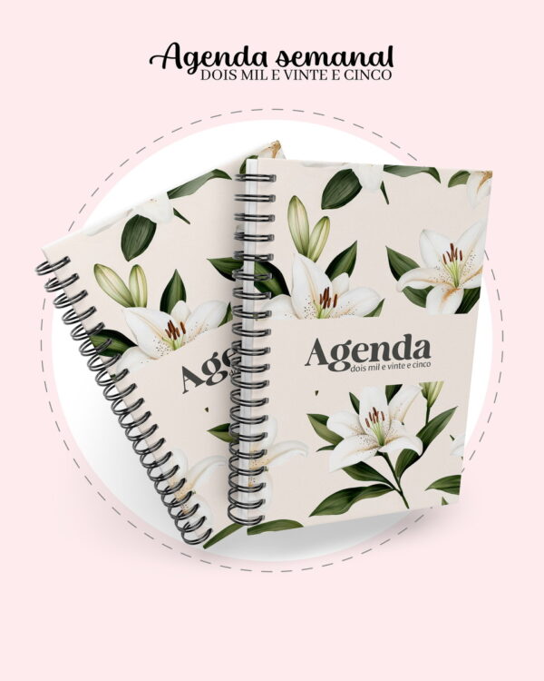 Agenda Semanal Big e A5 2025