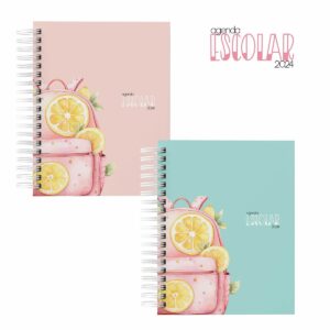 Agendas Escolares 2024