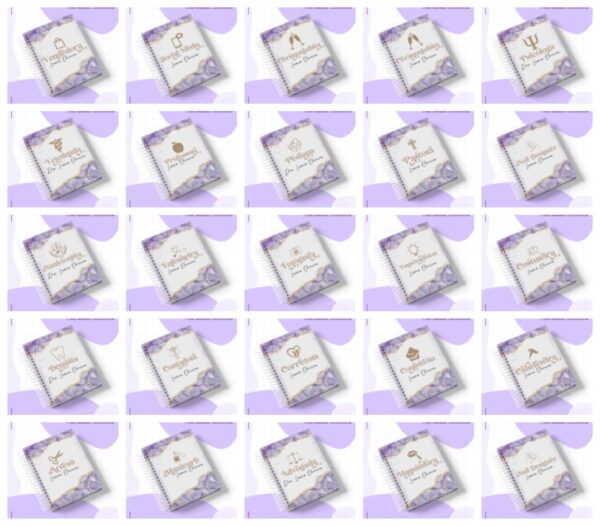 Agendas Profissões Femininas