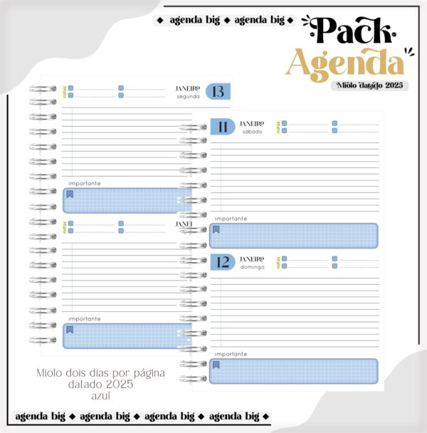 Agendas Tamanho Universitário Masculino