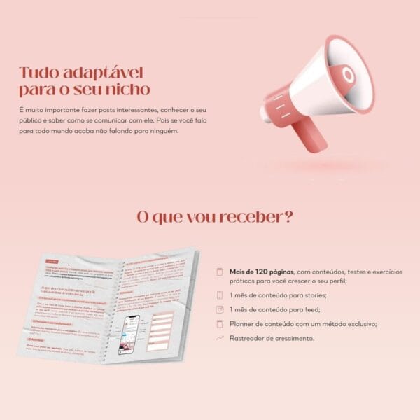 Arquivo Digital Planner Conteúdo Perfeito Lívia Brasil