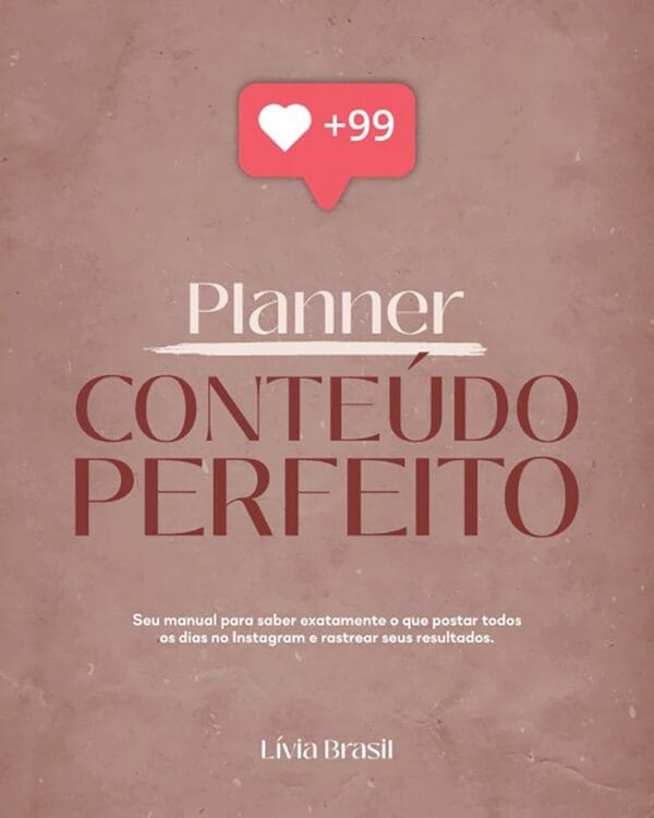 Arquivo Digital Planner Conteúdo Perfeito Lívia Brasil