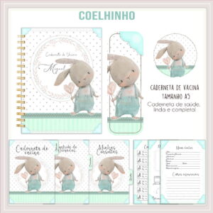 Caderneta de Vacina Coelhinho Menino