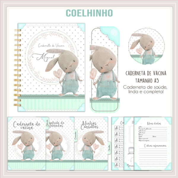 Caderneta de Vacina Coelhinho Menino