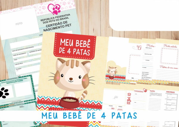 Caderneta Vacina e Registros Momentos - Cat Macho 3