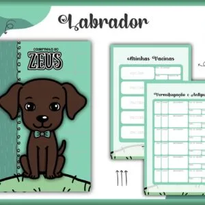Caderneta Vacina Pet Labrador Macho 28 Design digital de caderneta pet com ilustração de cachorro labrador marrom em fundo verde.