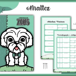 Caderneta Vacina Pet Maltez Macho