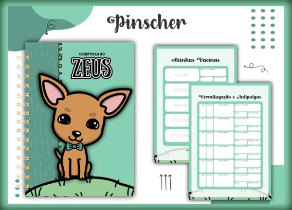 Caderneta Vacina Pet Pinscher Macho