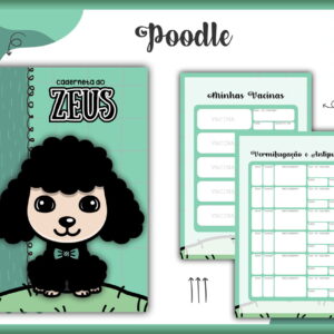 Caderneta Vacina Pet Poodle Preto Macho - Arquivo Digital