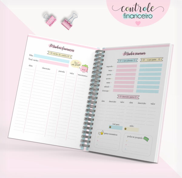 Caderno Controle Financeiro Feminino 01