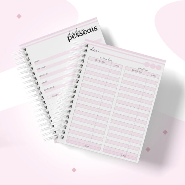 Caderno Controle Financeiro Feminino