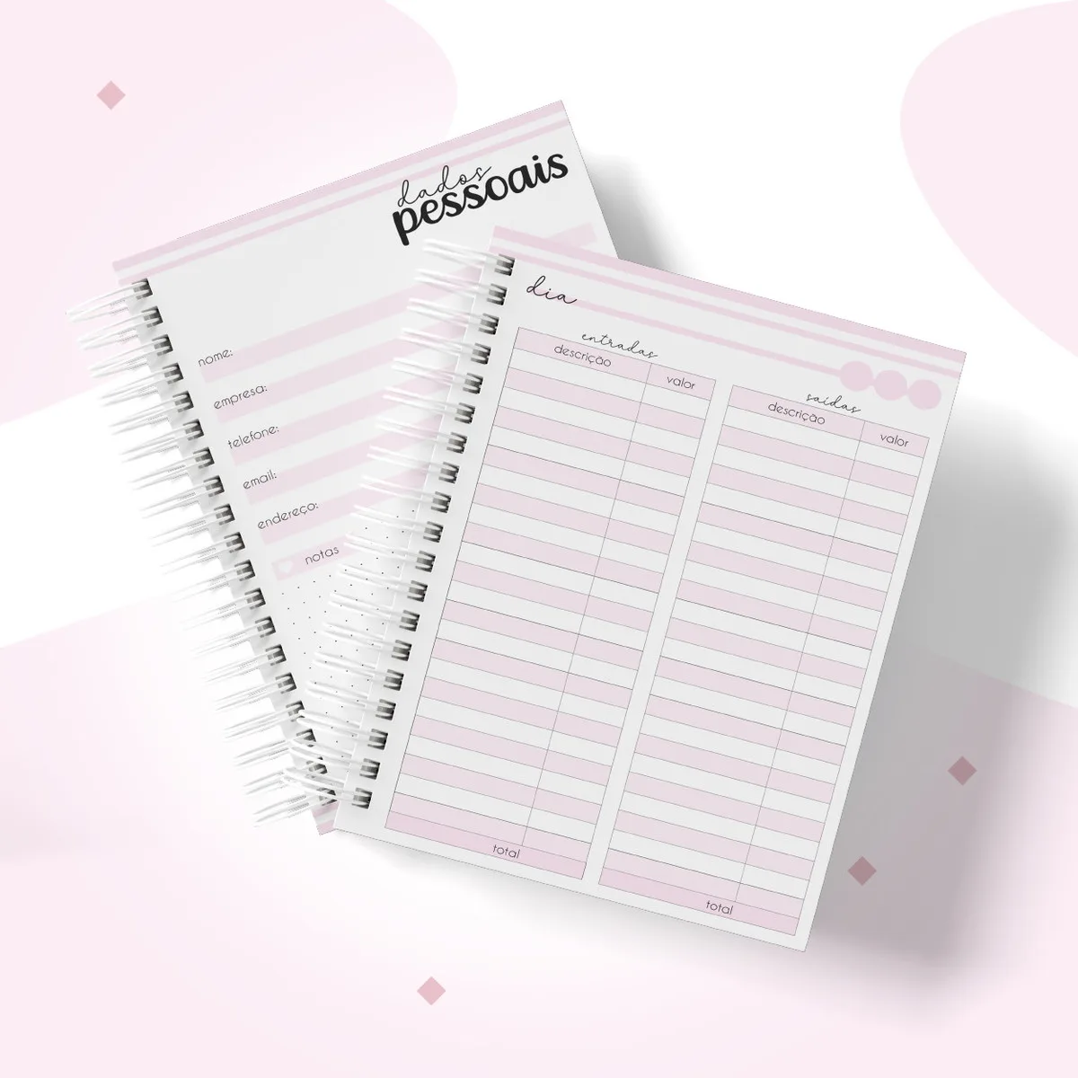 Caderno Controle Financeiro Feminino