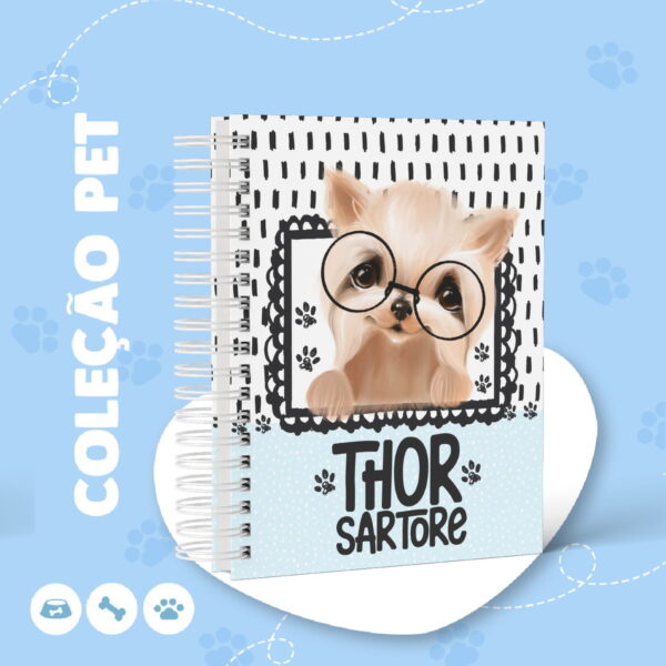 Capas York Shire Macho
