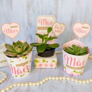 Cinta Suculenta Dia das Mães