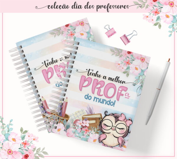 Coleção Dia dos Professores