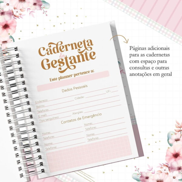 Coleção Gestantes