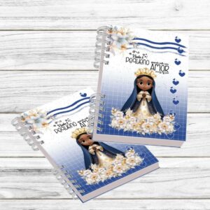 Coleção Nossa Senhora Aparecida