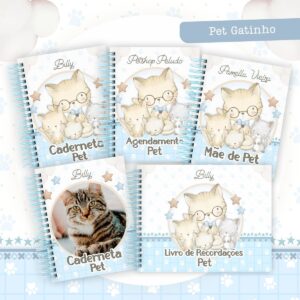 Coleção Pet Gatinho Azul