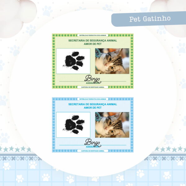 Coleção Pet Gatinho Azul