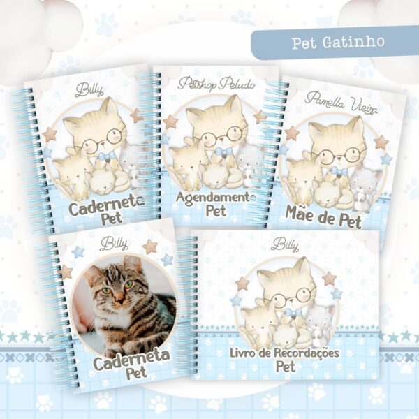 Coleção Pet Gatinho Azul