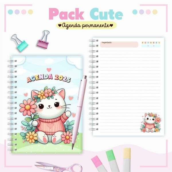 Combo Agendas Infantil Permanente Meninas