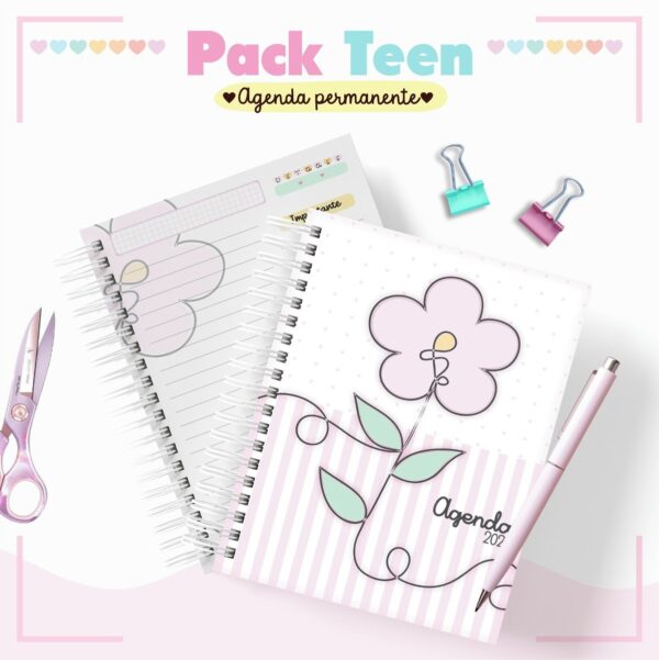 Combo Agendas Infantil Permanente Meninas