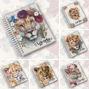 Combo Agendas Leoa