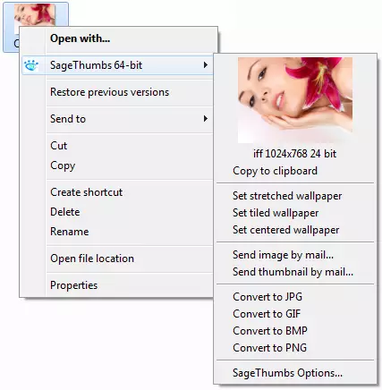 Sage_Thumbs_Menu_de_Contexto_Opcoes.png