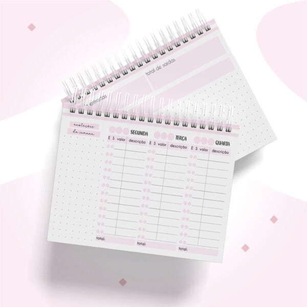 Controle Financeiro Semanal Feminino A6
