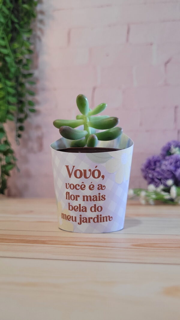 Digital Avós