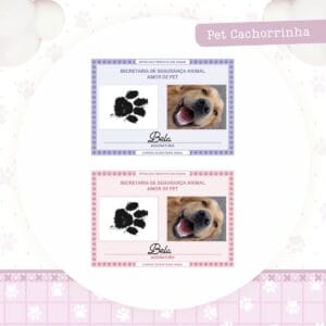Identidade Pet Cachorrinha