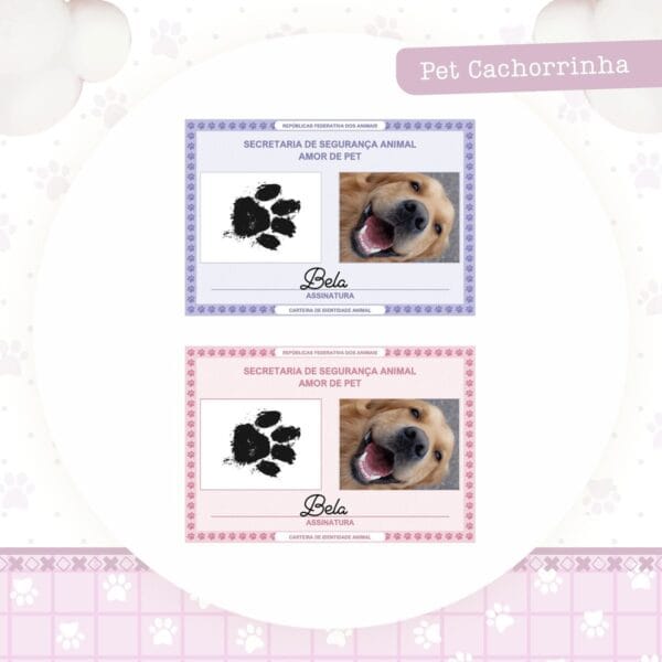 Identidade Pet Cachorrinha