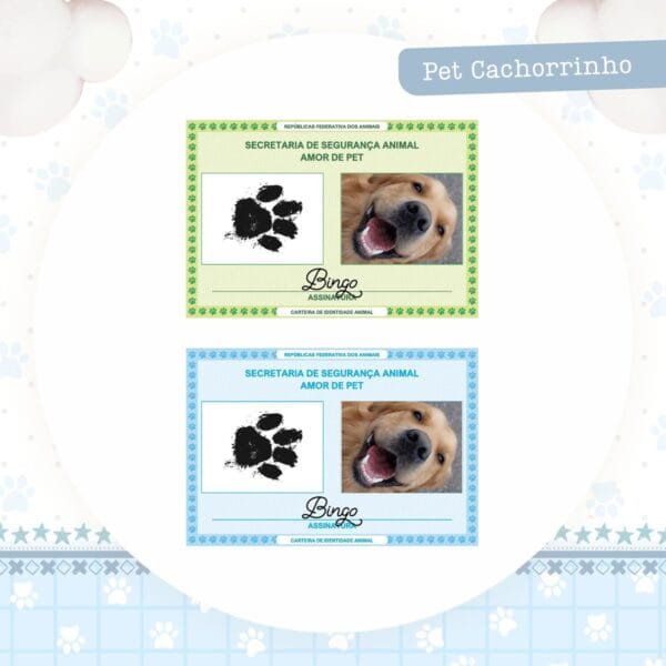 Identidade Pet Cachorrinho