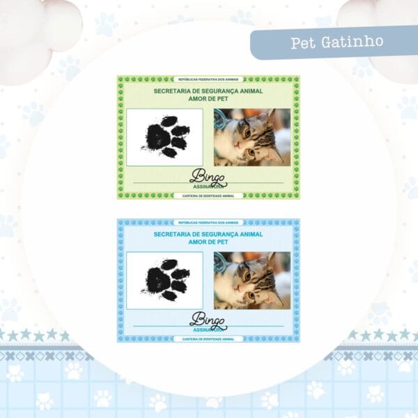 Identidade Pet Gatinho