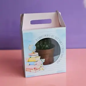 Kit Arquivo Professores Caixa Suculenta Mimo Presente