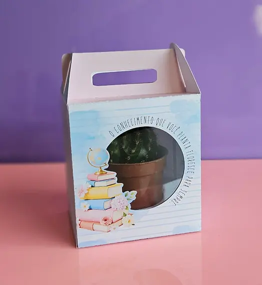 Kit Arquivo Professores Caixa Suculenta Mimo Presente 1 Kit Arquivo Professores Caixa Suculenta Mimo Presente