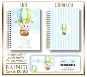 Kit Capa e Cartão Sus Animais Baloeiro