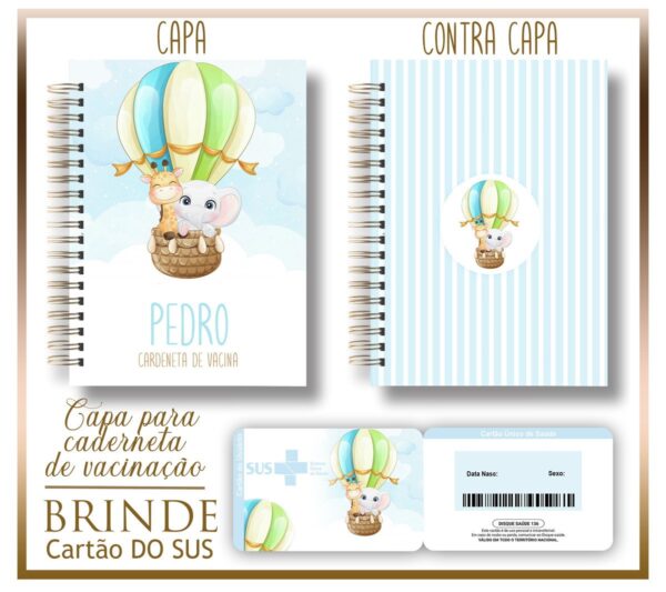 Kit Capa e Cartão Sus Animais Baloeiro