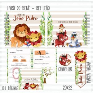 Kit Completo do Bebê Rei Leão