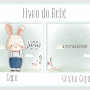 Livro do Bebê Coelhinho