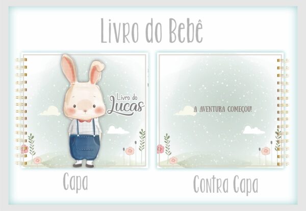 Livro do Bebê Coelhinho