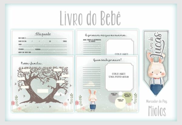 Livro do Bebê Coelhinho