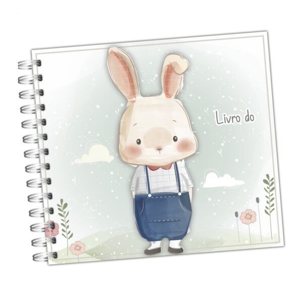 Livro do Bebê Coelhinho