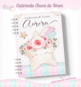 Livro e Caderneta Chuva de Amor Rosinha