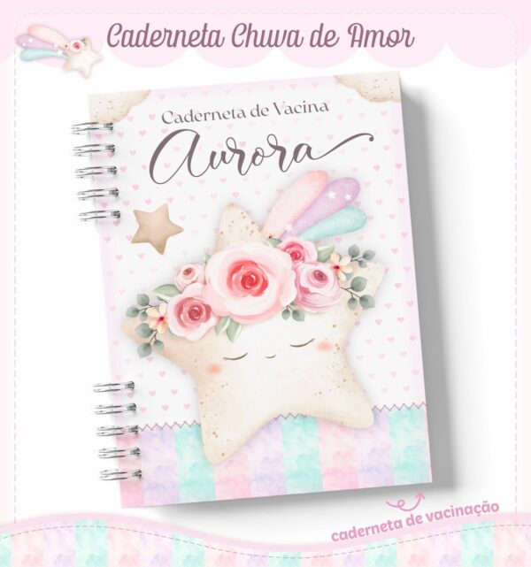 Livro e Caderneta Chuva de Amor Rosinha