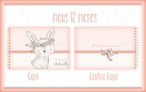 Livro Meus 12 Meses Coelhinha