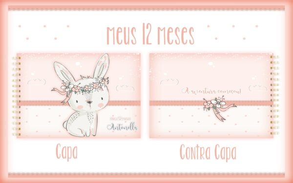 Livro Meus 12 Meses Coelhinha