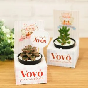 Mimos Dia dos Avós - Png e pdf 10 Mimos Dia dos Avós - Png e pdf
